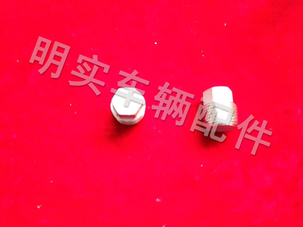 不銹鋼螺堵R12