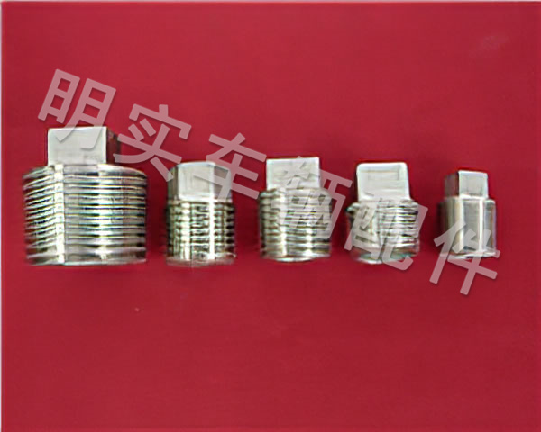 不銹鋼方頭螺堵DN8-DN32
